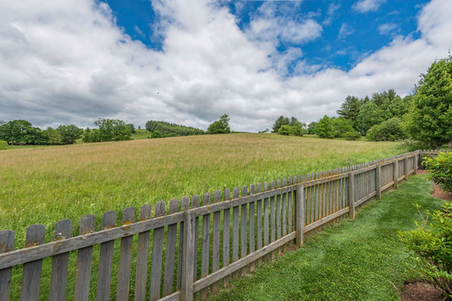 Fenced in back yard