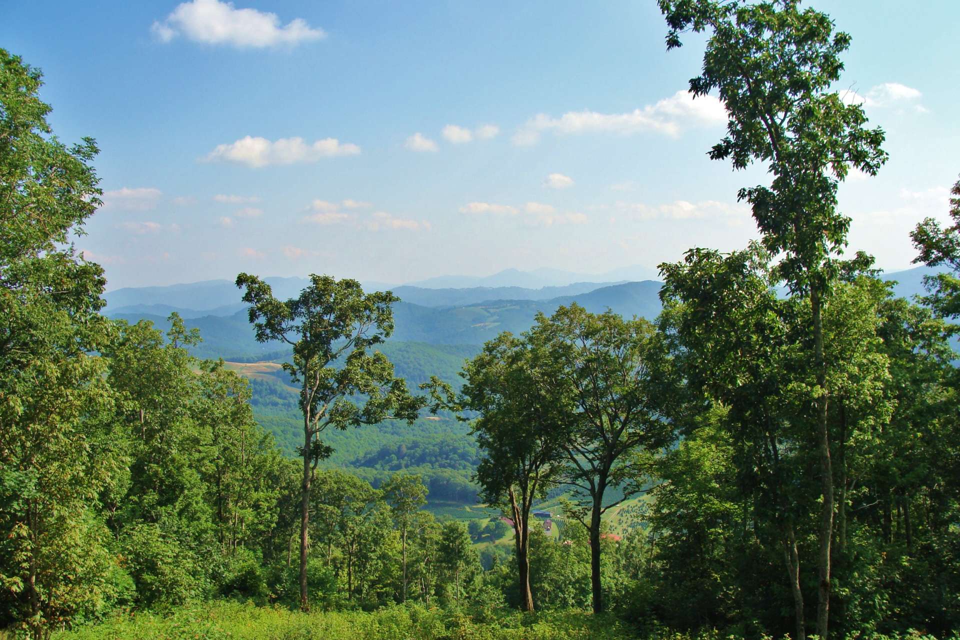 This is the view from lot 8. With some tree clearing, the view from lot 10 will be similar.
