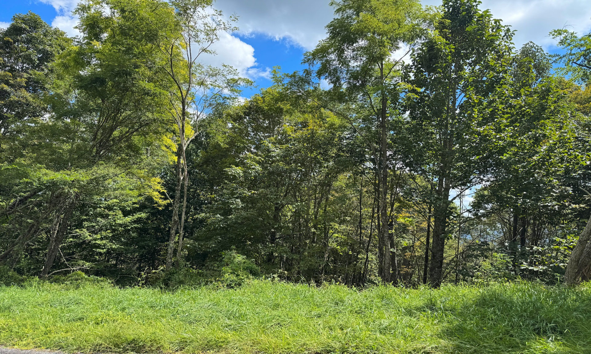 Lot 10 in Bluff Mountain Estates is a naturally wooded 9.482-acre setting with potential long-range views.