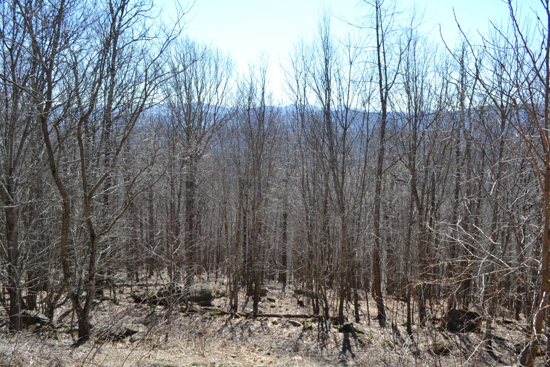 Lot 7 is a 2.67 acre mountain home site offering potential views with the tree removal or trimming.