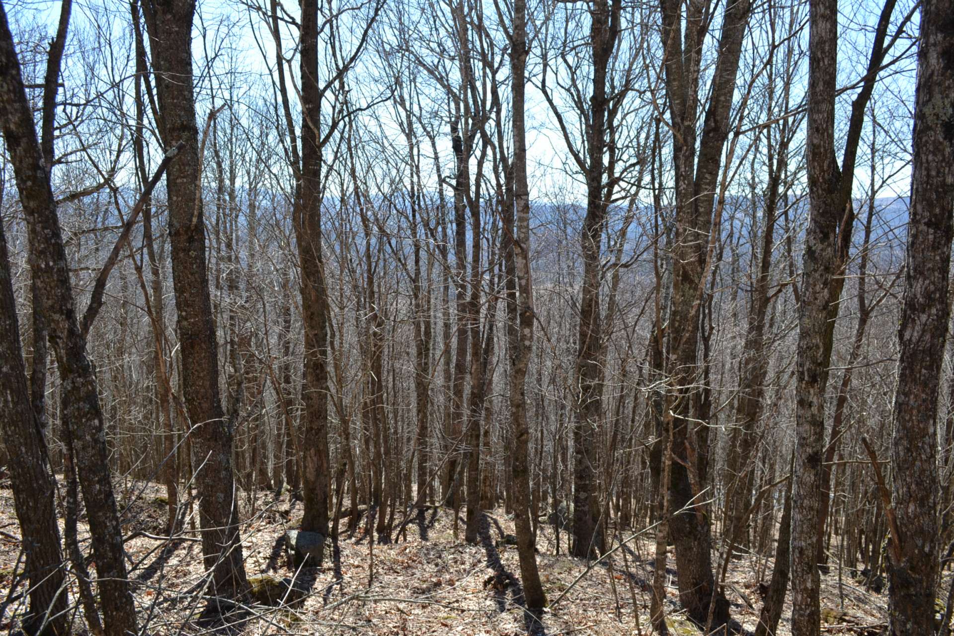 Lot 6 is a naturally wooded 2.01 acre lot with great view potential and priced at $25,000.