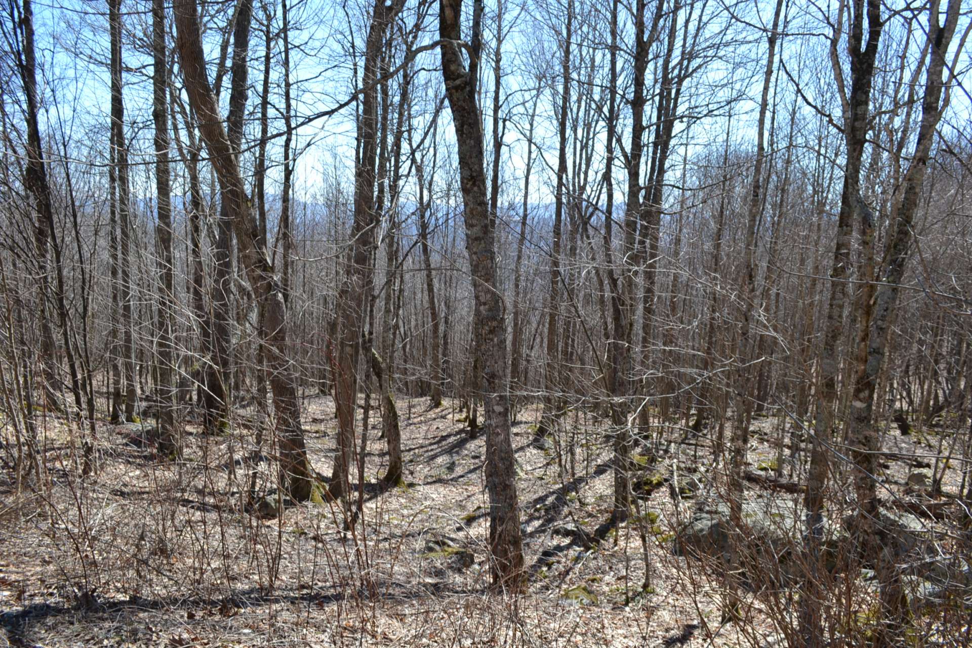 Lot 15 is a 5.87 acre home site offering views with the clearing of trees. *SOLD
