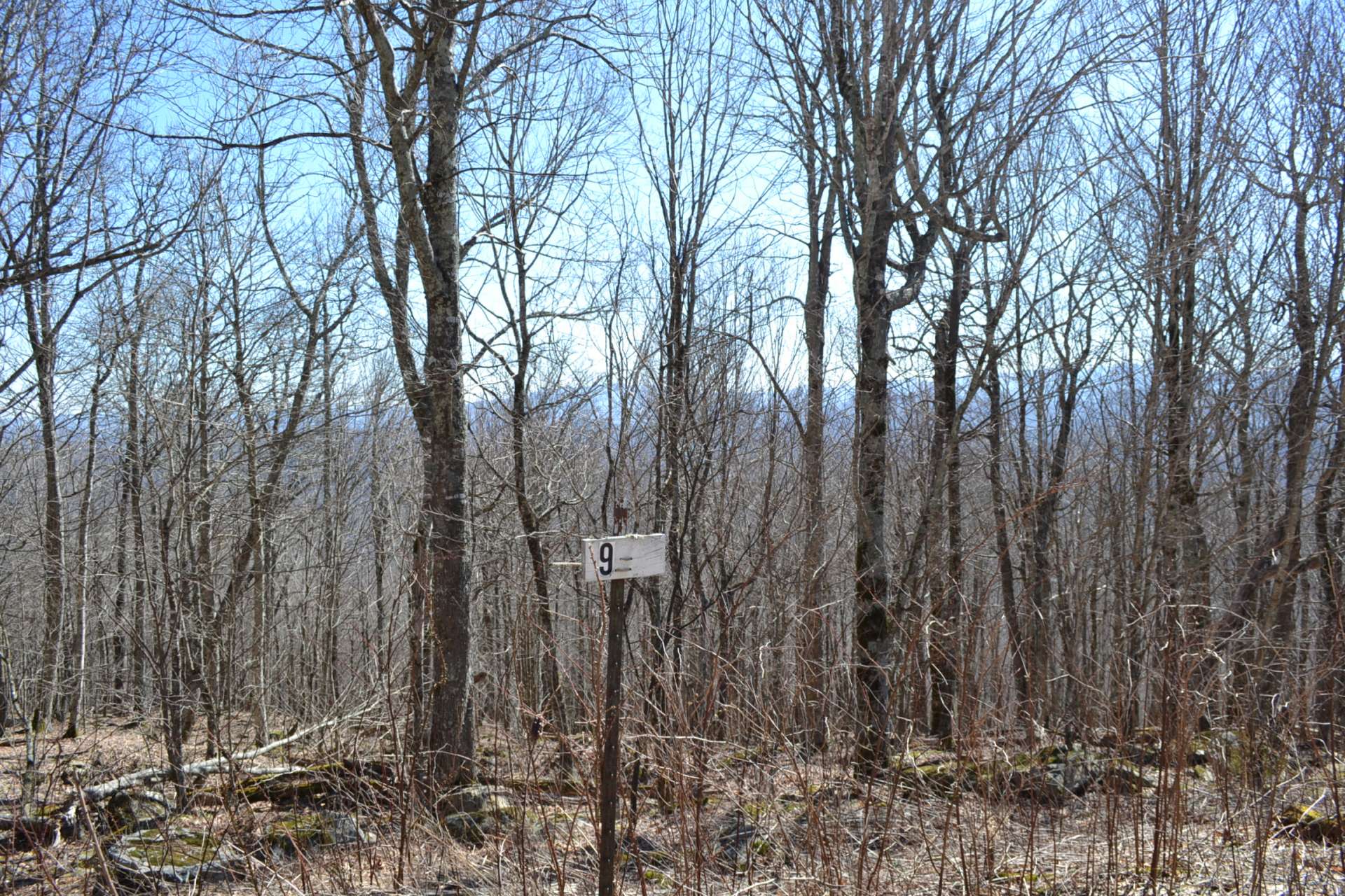 Lot 9 is a 5.29 acre wooded home site offering potential year round views and priced at $35,000. *Under Contract