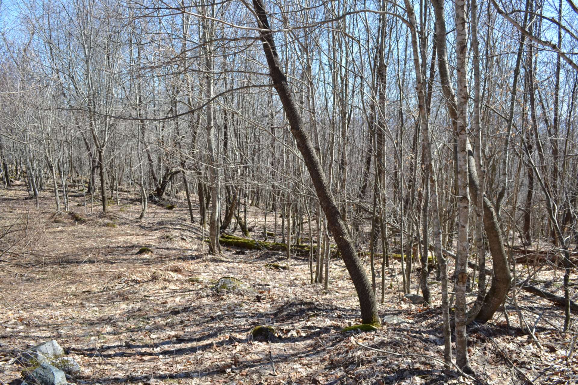 Priced at $42,000, Lot 17 is an excellent choice for your Virginia Mountain retreat cabin or full time home. SOLD