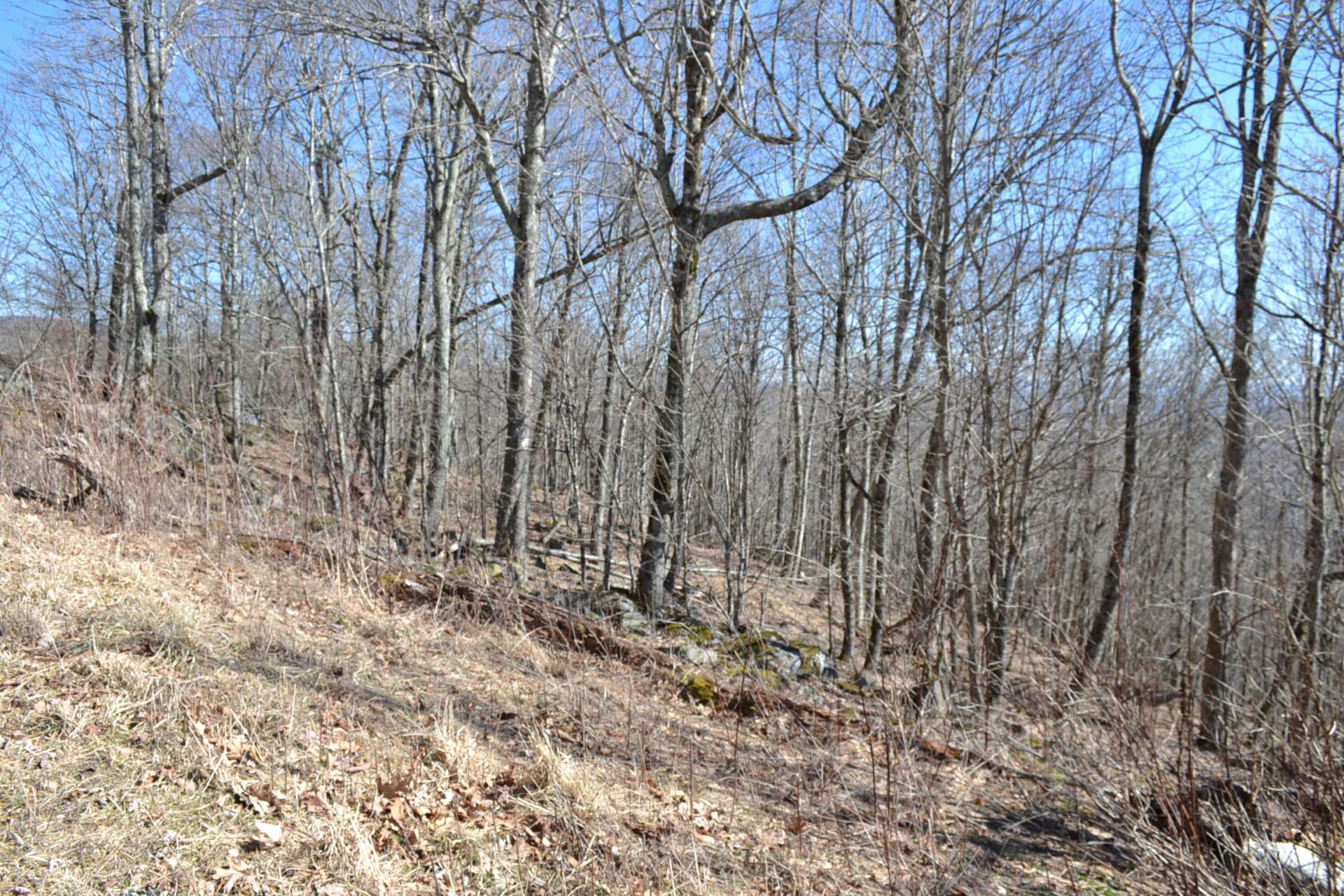 Your Whitetop Mountain cabin or home will look great placed on this home site.