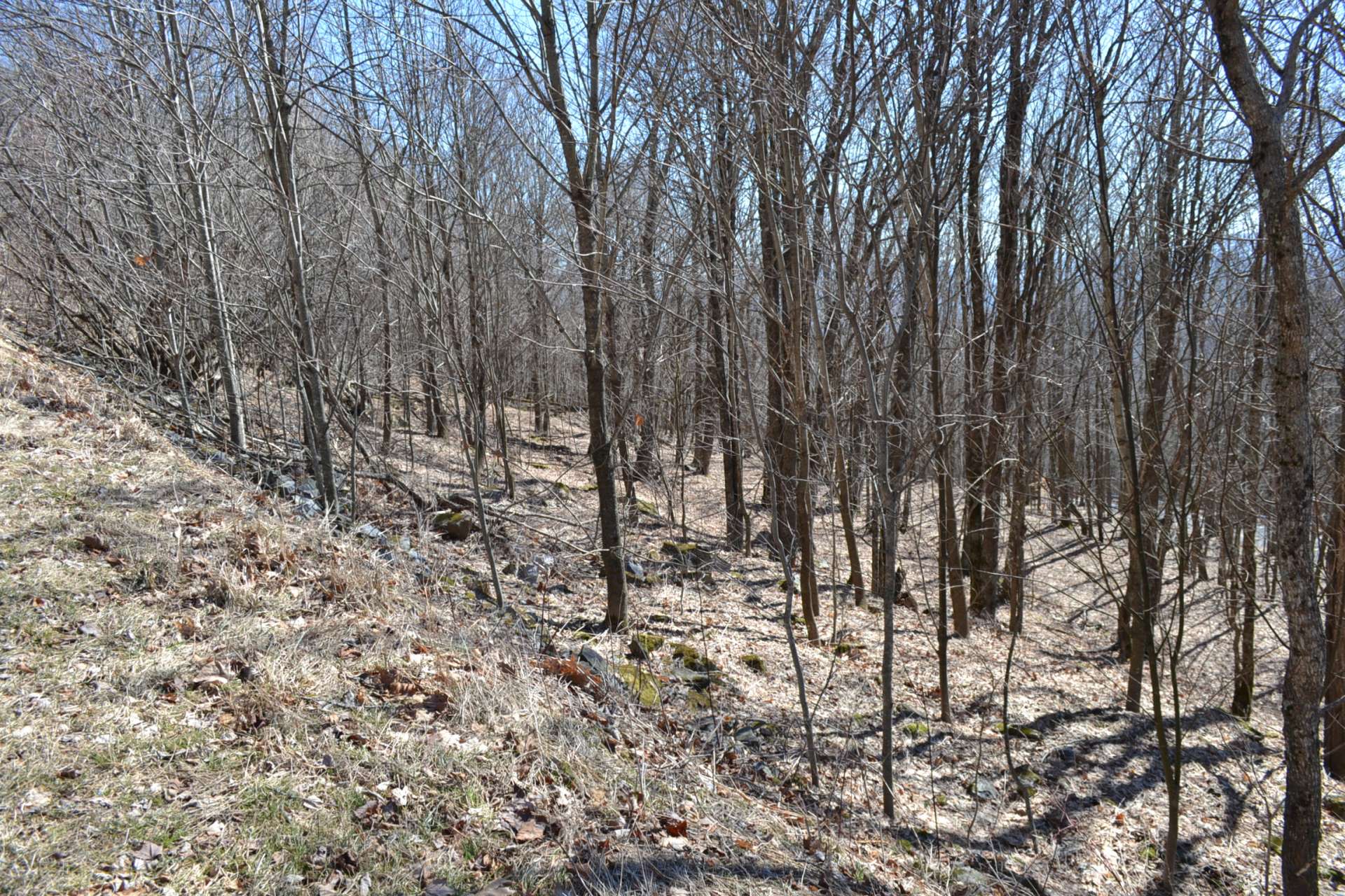 The terrain is perfect for the site of your new Virginia Mountain retreat or primary home.