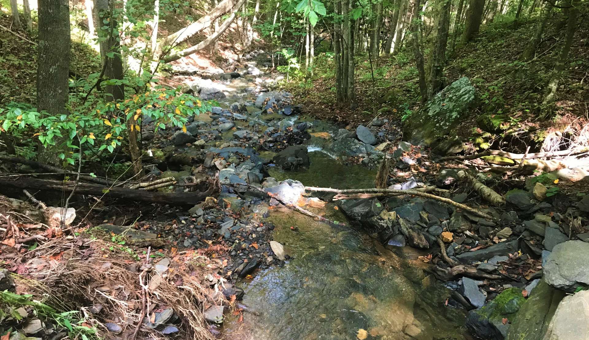 The creek is large enough to hold native trout and creates waterfalls to enhance Nature's Symphony.  A perfect place to build your dream mountain cabin or forever home.