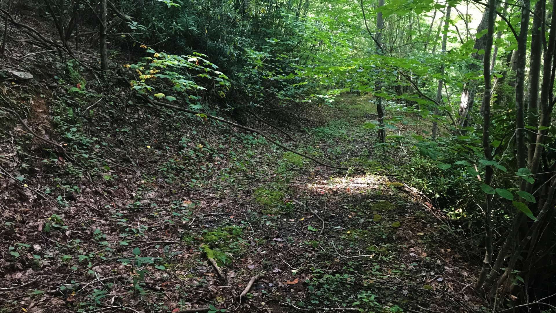 Old logging roads criss cross through the property providing trails for hiking, horseback riding or  ATV trails.