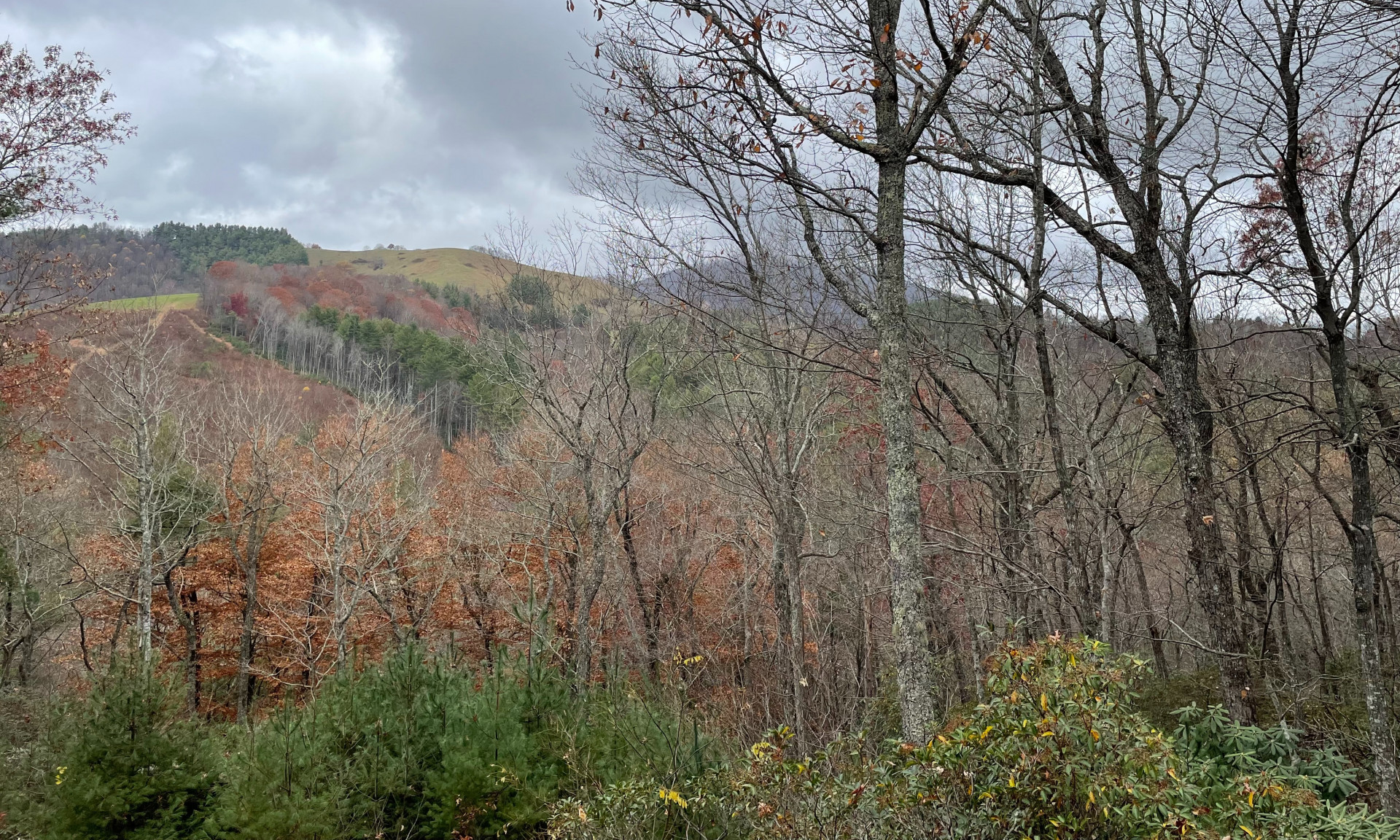 Wooded Homesite NC Mountains