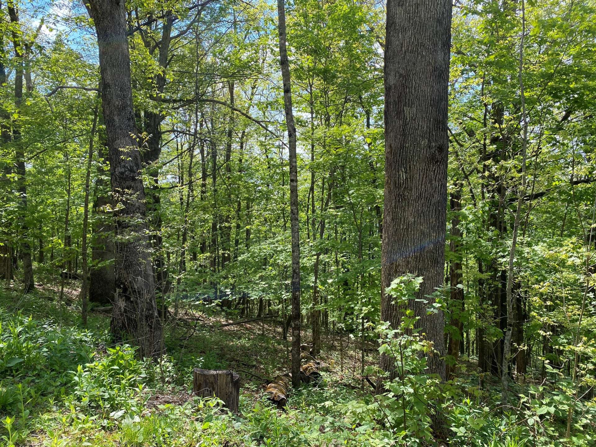 Offered at $27,500, this 0.50 acre  homesite is ideal for your dream NC Mountain cabin or forever home.  Call today for additional details on listing S283.