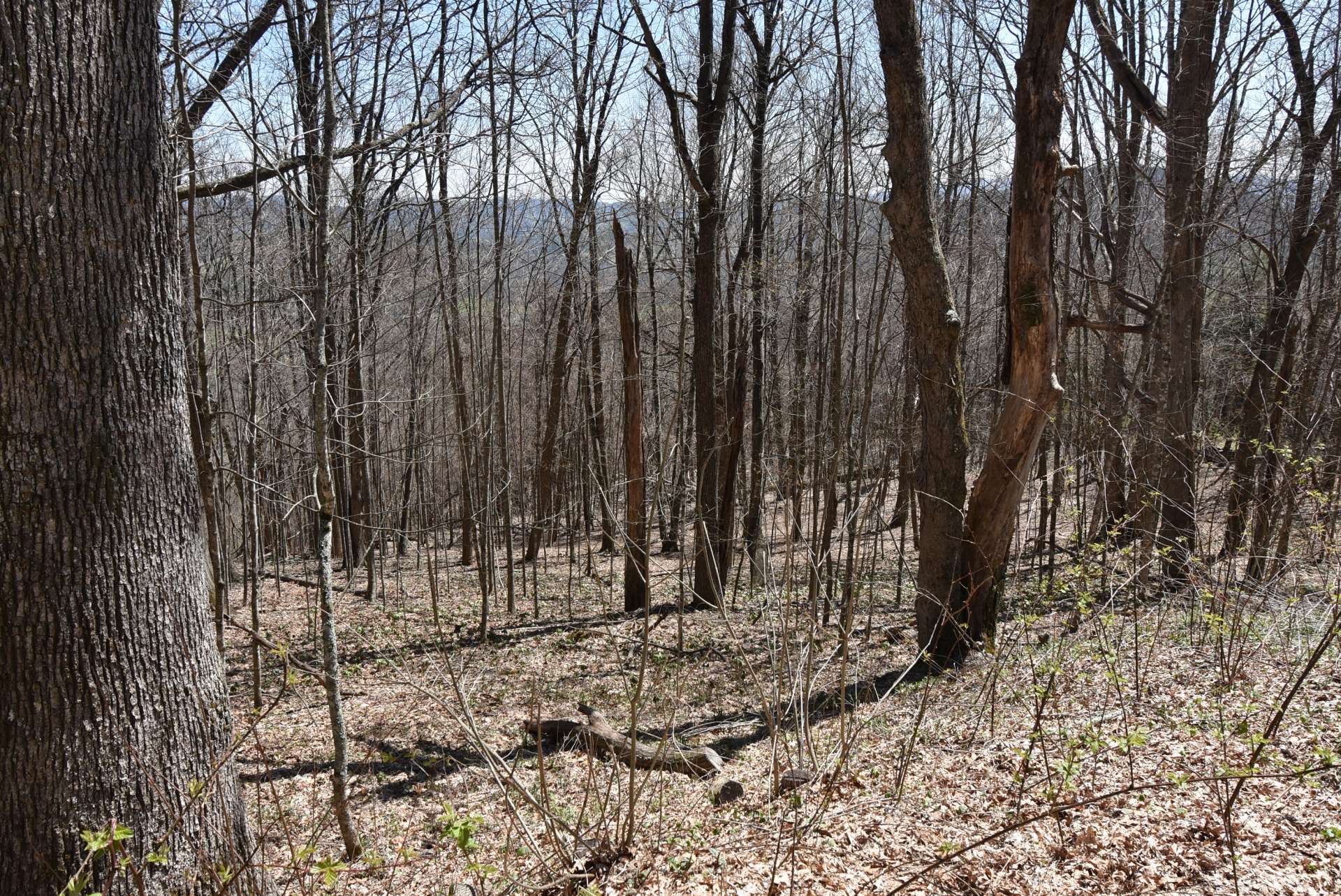 Offered at $30,000, this  homesite is ideal for your dream NC Mountain cabin or forever home.  Call today for additional details on listing S280.