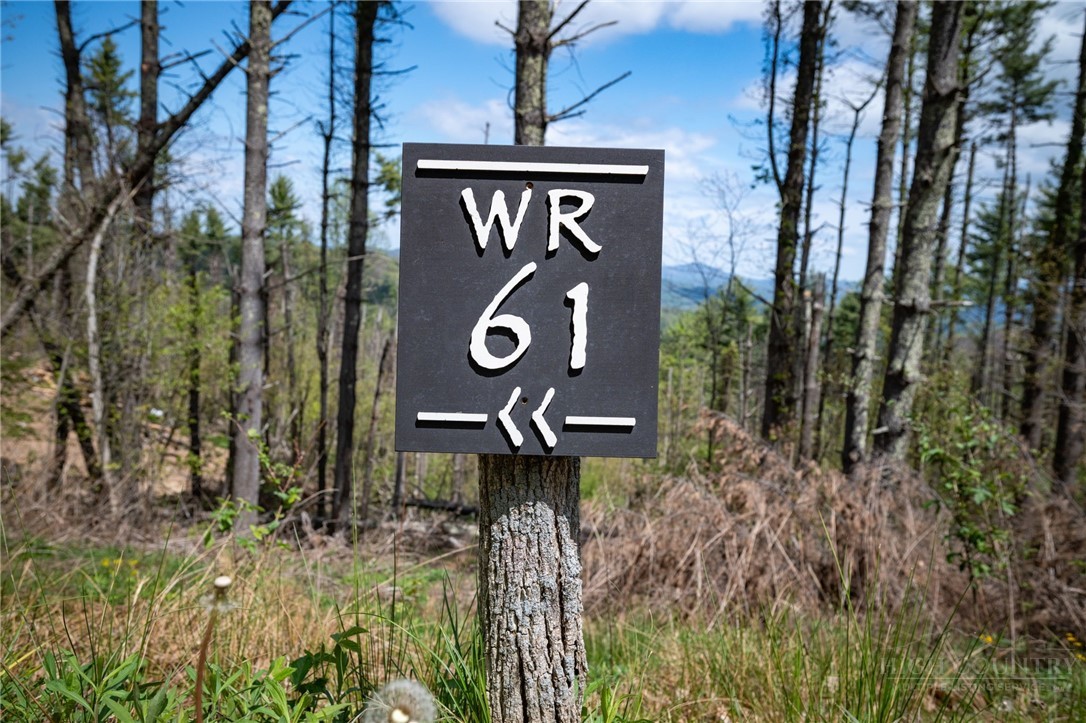 WR-61 Clouds Rest Drive