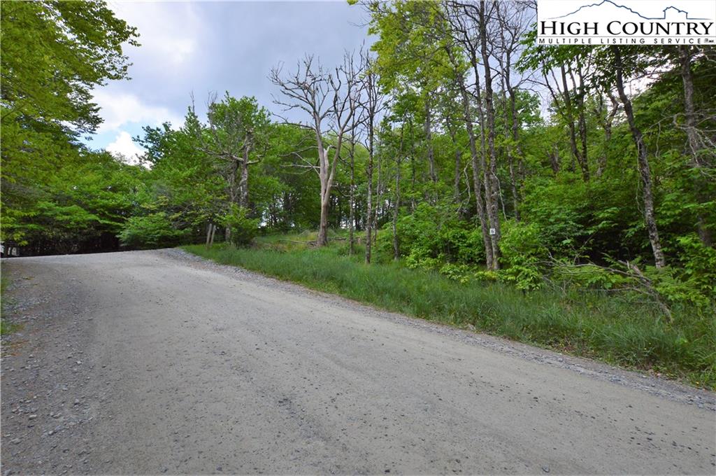 MLS 222432 XX N Pinnacle Ridge Road, Beech Mountain, NC 28604